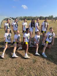 Image result for Henley Netball Club