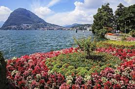 Image result for "Parco Ciani"
