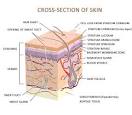 USDA Certified Organic Eye and Lines Treatment - Mercola.