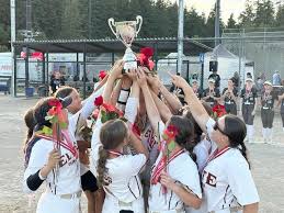 Image result for Langley Rockets Badminton Club