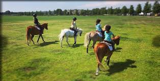 Image result for Cliff Hatch Stables