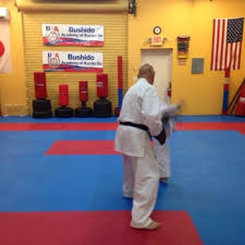 Image result for Bushido Academy Of Martial Arts (Bama)