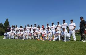Image result for Herts Falcons
