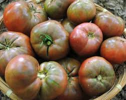 Afbeeldingsresultaat voor 1884 purple tomato