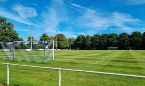 Image result for Harbertonford A F C