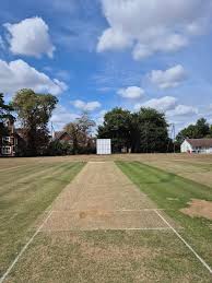 Image result for High Easter Cricket Club