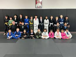 Image result for Yeo Dojo Also Teaching Gracie Jujutsu