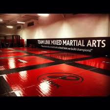 Image result for Awesome Martial Arts Training Center