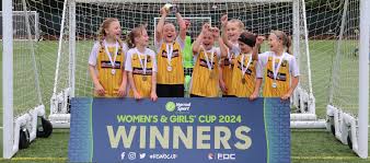 Image result for New Latchingdon Youth Football Club