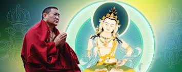 Image result for dordzse