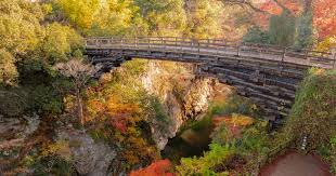 Image result for 笹瀬橋