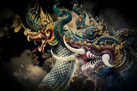 Kuvahaun tulos haulle nagas