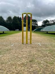 Image result for Armitage Bridge Cricket Club