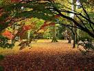 Westonbirt Arboretum - via Daymix