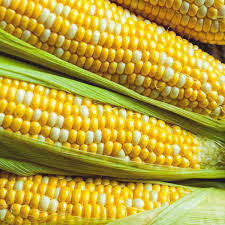 Image result for Mais