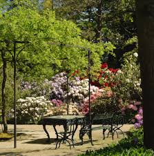 Image result for Arboretum Trompenburg