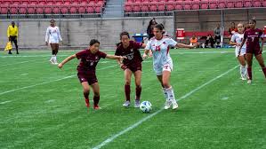 Image result for York University Futsal Club