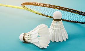Image result for Salisbury Armada Badminton Club