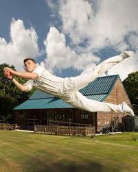 Image result for Alne Cricket Club