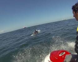 Image result for Jersey Sea Sport Centre - St Aubin, Jersey