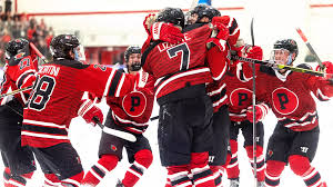 Image result for Norwich Dragons Hockey Club