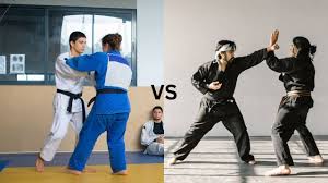 Image result for Judo/Ju-Jitsu Self Defence