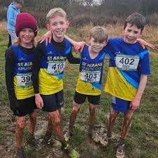 Image result for St Albans Striders