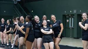 Image result for Stevenage Sports Acro Club