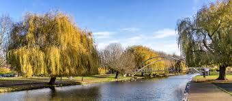 Image result for Bedford