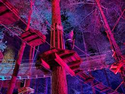Image result for Go Ape! Moors Valley
