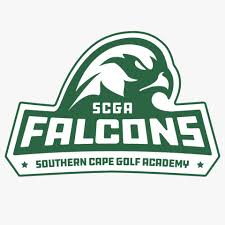 Image result for Falcon Sa Club