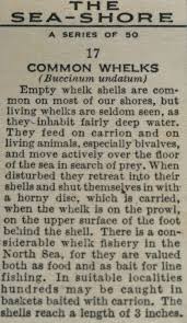 Image result for Suffolk Coastal Floaters