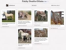 Image result for liveweb.archive.org