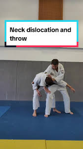 Image result for Tae-jitsu