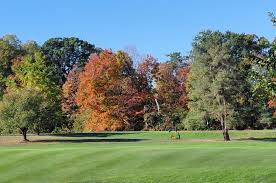 Image result for Lakeside Country Club Indoor Bowls Rink