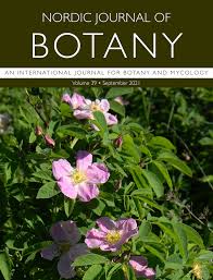 Attēlu rezultāti vaicājumam “Rosa glabrifolia”