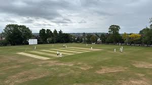 Image result for Tendring Cricket Club