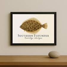 Image result for Paralichthys lethostigma