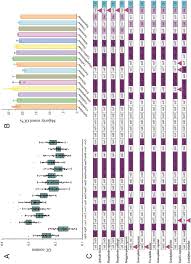 Attēlu rezultāti vaicājumam “Planaphrodes sp.”