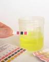 Urine pH     Testing Acidity Alkalinity of our Body Alkaline Diet
