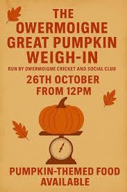 Image result for Owermoigne Cricket Club