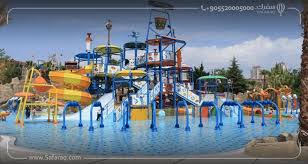 Image result for Dolphin Sub Aqua