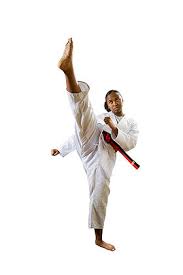 Image result for COMBAT TAEKWONDO