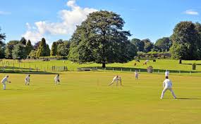 Image result for Arthington Cricket Club