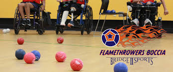 Image result for North Wales Boccia