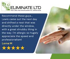 Image result for East Kilbride Wasps