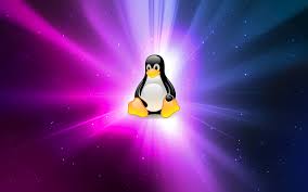 Image result for linux tux