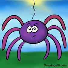 Image result for spider
