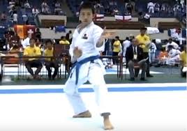 Image result for Karate Wado Kai