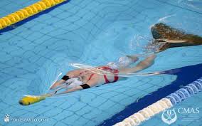 Image result for Swansea Finswimming Club